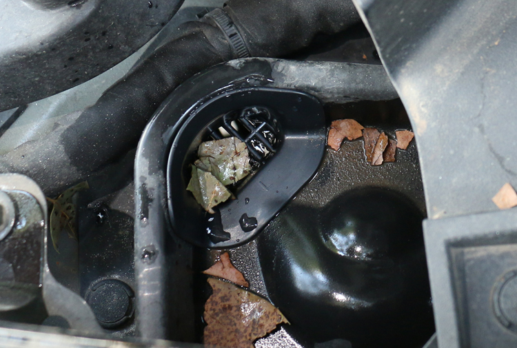 Does your car have an engine guard installed? See what he can do