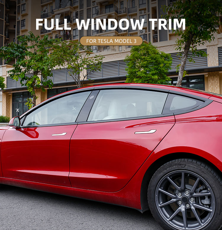Window Trim For Tesla Model 3 (1)
